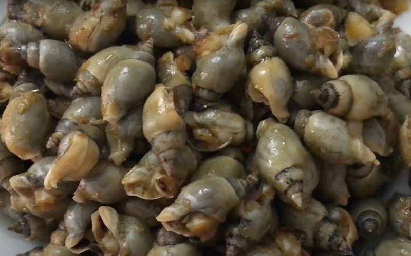 Ốc cà na xào sa tế cay đậm, hướng dẫn xào ốc ngon đầy hấp dẫn