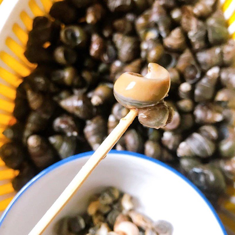 Ốc đã sơ chế sạch sẽ cho món bún riêu cua bắp bò