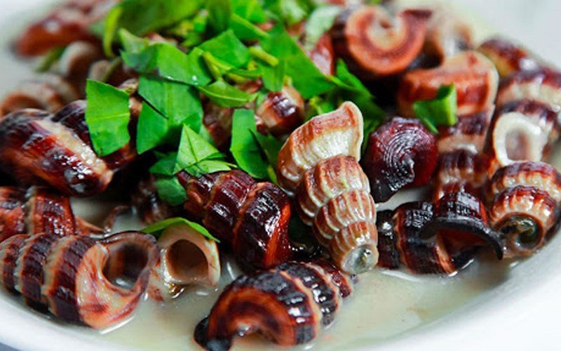 Ốc len xào dừa béo ngậy, hướng dẫn xào ốc ngon chuẩn vị miền Tây