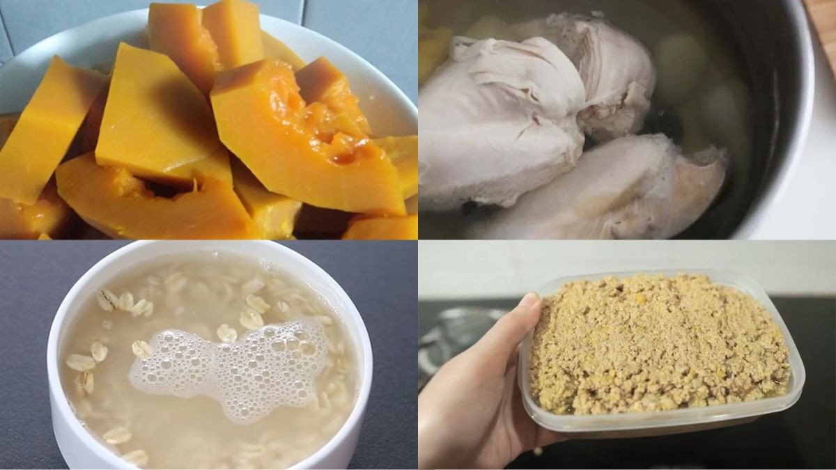 Pate ức gà cho mèo giàu dinh dưỡng