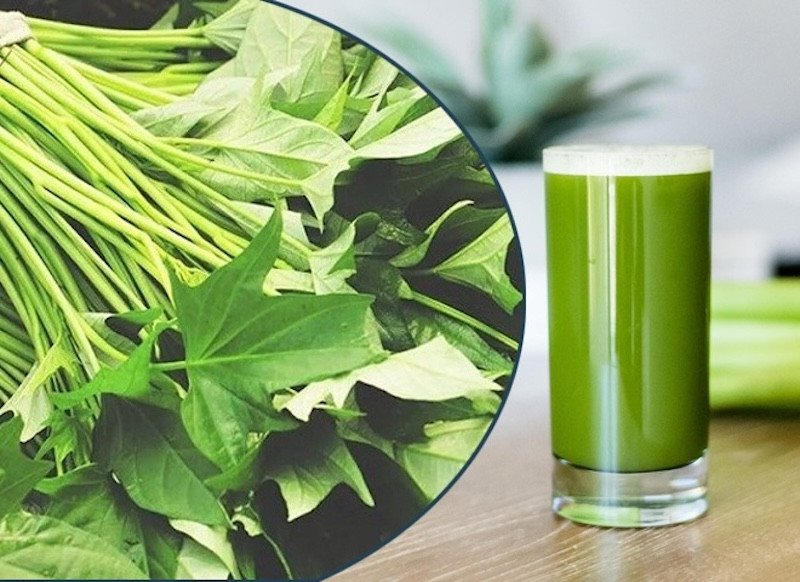 Phần ngọn rau lang tươi non, biểu tượng cho lợi ích sức khỏe từ rau lang