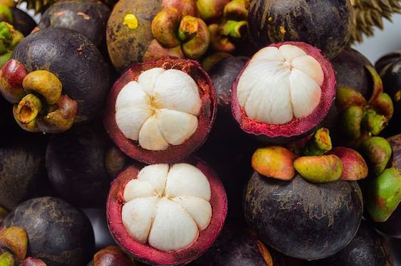 Quả măng cụt tươi được bổ đôi, hé lộ múi trắng, tượng trưng cho giá trị dinh dưỡng cao