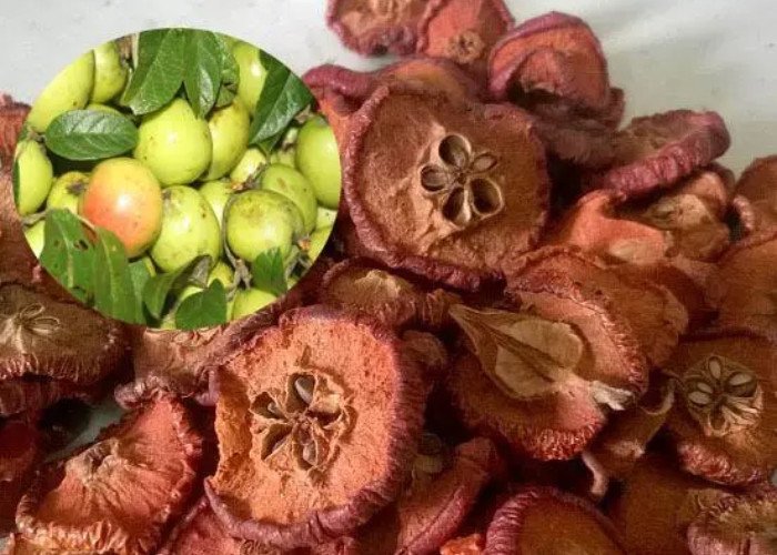 Quả sơn tra hay táo mèo sấy khô