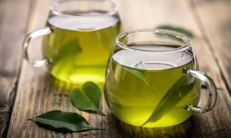 Quy trình đun sắc nước lá vú sữa tươi, một cách nấu lá vú sữa chữa dạ dày đơn giản tại nhà