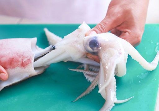 Quy trình làm sạch mực tươi, loại bỏ túi mực