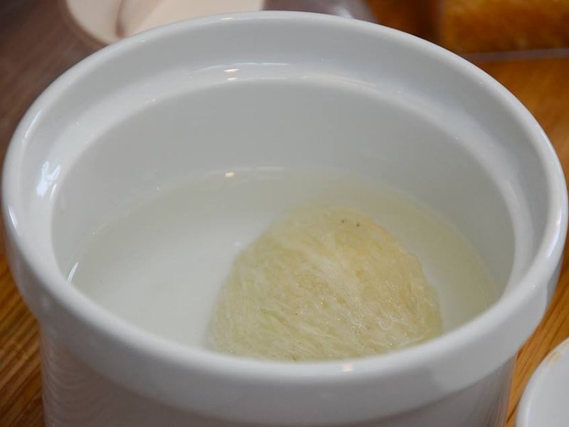 Quy trình ngâm tổ yến tinh chế trong nước sạch, là bước đầu tiên để chưng yến bằng nồi nấu chậm