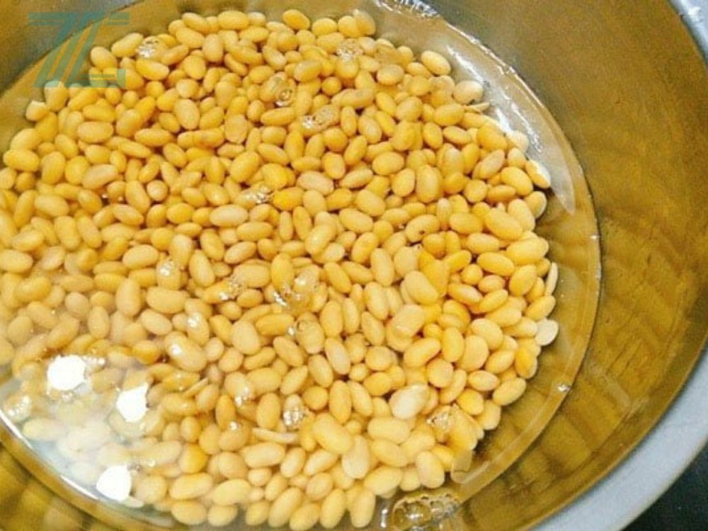 Quy trình sơ chế hạt đậu nành chất lượng cho sữa đậu nành kinh doanh