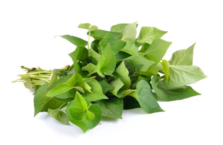 Rau diếp cá tươi xanh mọng nước, nguyên liệu chính cho cách nấu nước rau diếp cá bổ dưỡng.