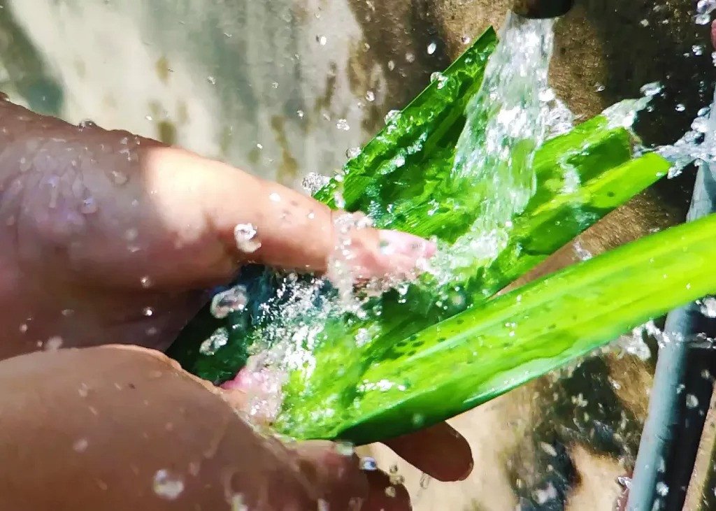 Rửa sạch lá dứa qua nước lạnh để làm sạch bụi bẩn