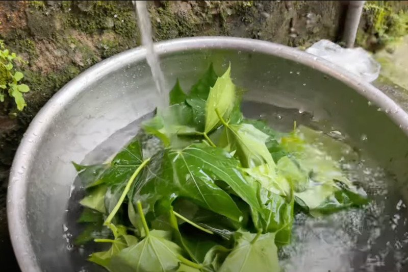 Rửa sạch rau mì chính dưới vòi nước chảy