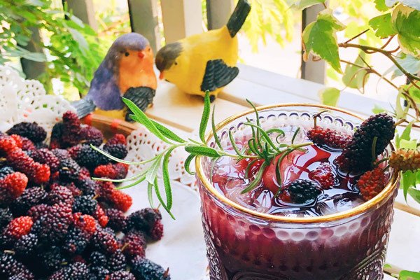 Siro dâu tằm tự làm tại nhà với cách nấu siro dâu tằm để được lâu