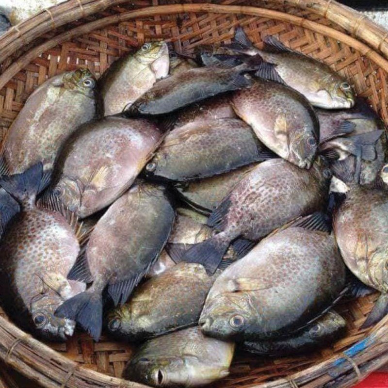 Sơ chế cá dìa sạch sẽ trước khi nấu canh chua