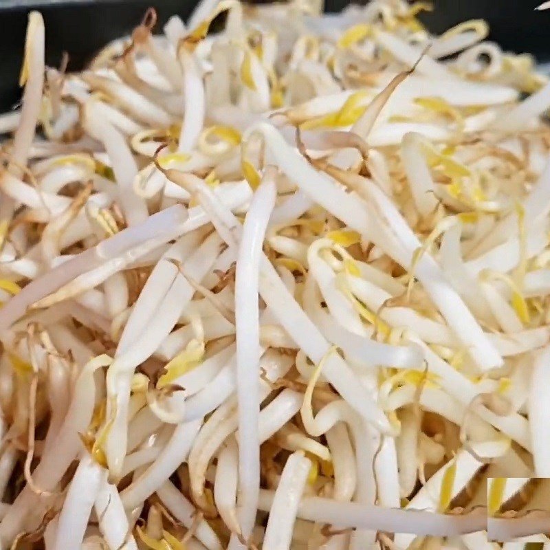 Sơ chế giá đỗ và hẹ cho món hủ tiếu xào chay Campuchia