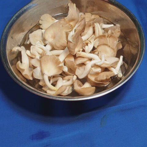 Sơ chế nấm sò trắng sạch sẽ trước khi xào