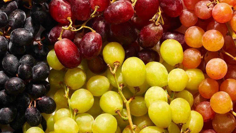 So sánh dinh dưỡng nho xanh, nho đen và nho đỏ