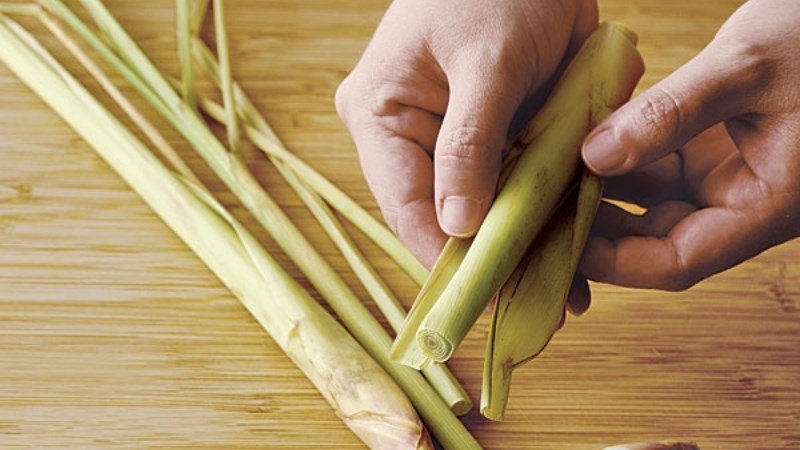 Sử dụng cây sả để khử mùi dạ dày bò