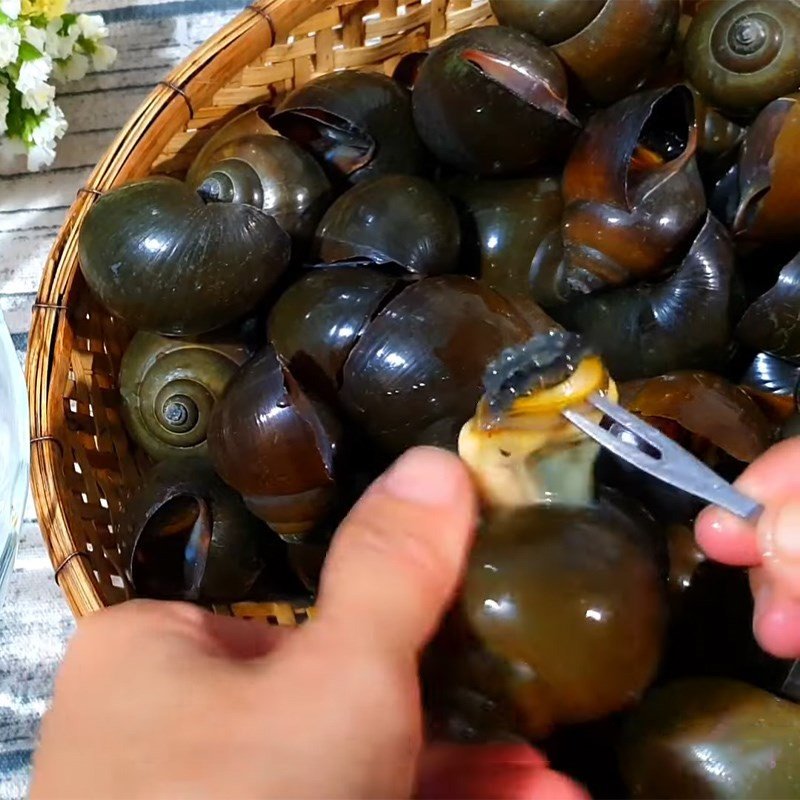 Tách phần thịt ốc bươu ra khỏi vỏ để chuẩn bị xào