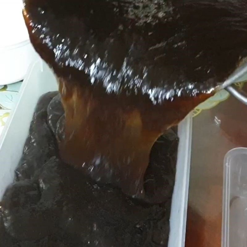 Thạch đen Cao Bằng đông đặc trong hộp sau khi làm mát.