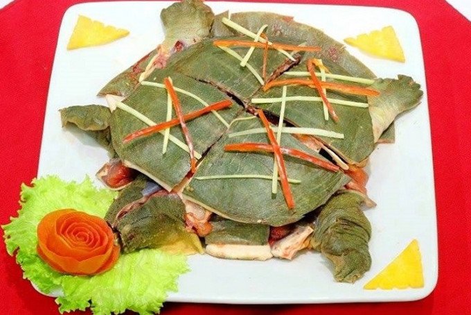 Thịt ba ba tươi ngon được dùng làm thực phẩm bổ dưỡng