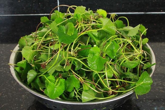 Thịt mèo xào rau má thơm ngon, bổ dưỡng giúp giải nhiệt cơ thể hiệu quả