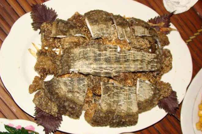 Thịt rùa rang muối chấm muối tiêu chanh là ngon nhất