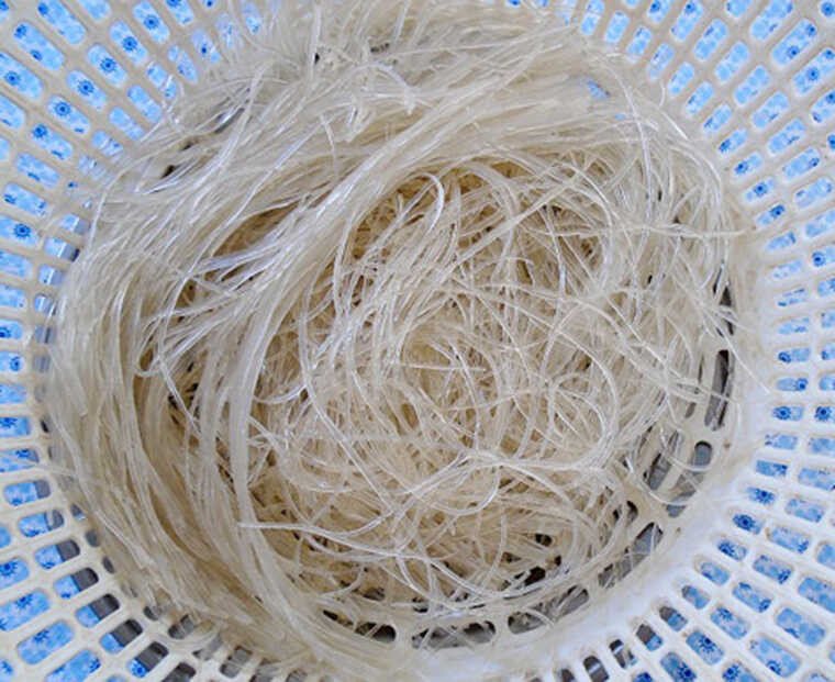 Tô miến xào thập cẩm đầy màu sắc với tôm, thịt, trứng và các loại rau củ, hương vị đậm đà hấp dẫn.