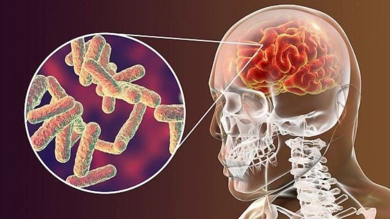 Trà từ cỏ mần trầu giúp ngăn ngừa viêm não truyền nhiễm
