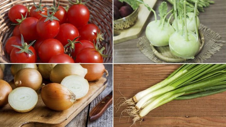 Tuyệt Chiêu Chọn Su Hào Tươi Ngon Cho Món Xào