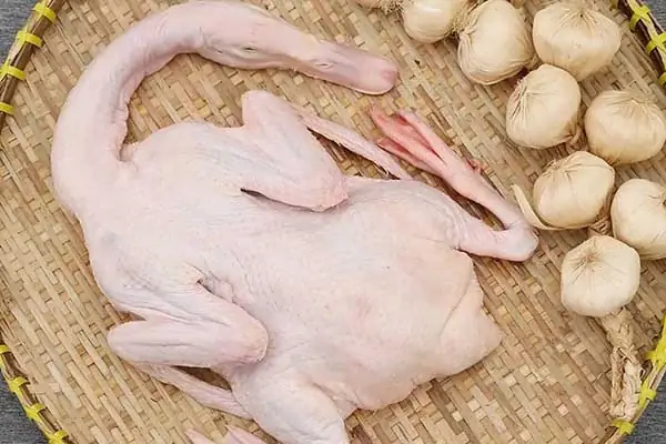 vịt om sấu miền bắc