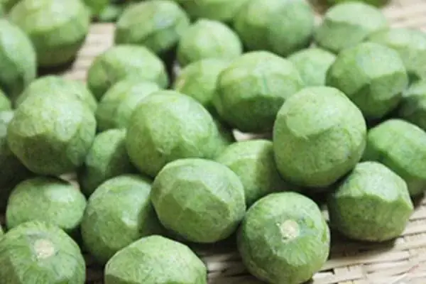 vịt om sấu miền bắc