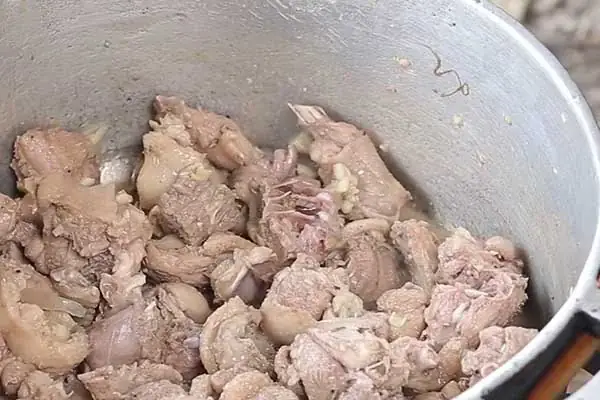 vịt om sấu miền bắc