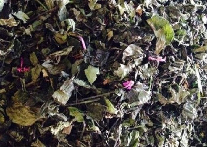 Vỏ cây cẩm văn hay quế khô