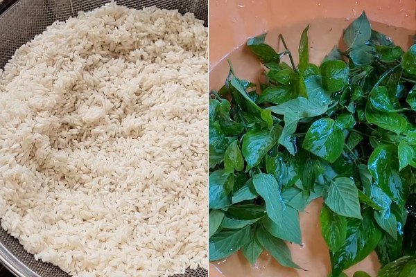 Vo sạch gạo nếp và sơ chế lá cẩm tươi