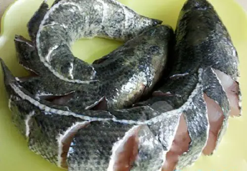 Cháo ám nấu từ cá quả và các loại cá khác tùy vùng miền. Ảnh internet