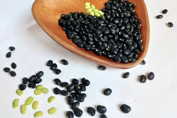 Cách chọn mua đậu đen ngon