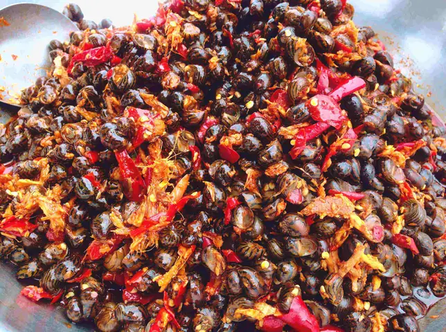 cách nấu ốc gạo biển