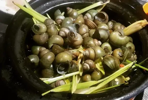 cách nấu ốc gạo ngon