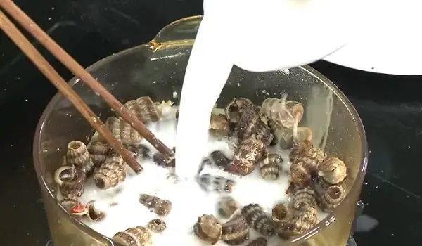 Nấu ốc len xào dừa