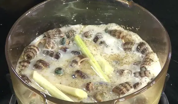 Nấu ốc len xào dừa