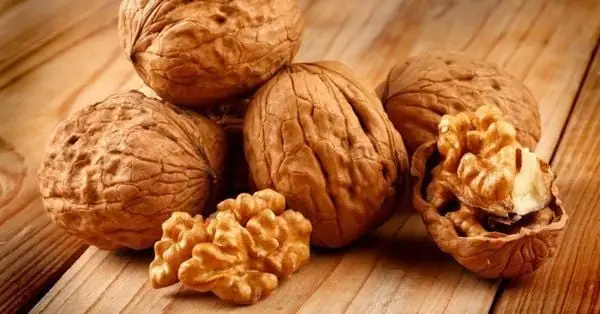 1. Chọn hạt óc chó hạnh nhân có chất lượng tốt