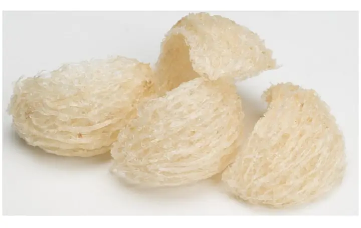 cach nau chao to yen thit ga cho nguoi gia 02