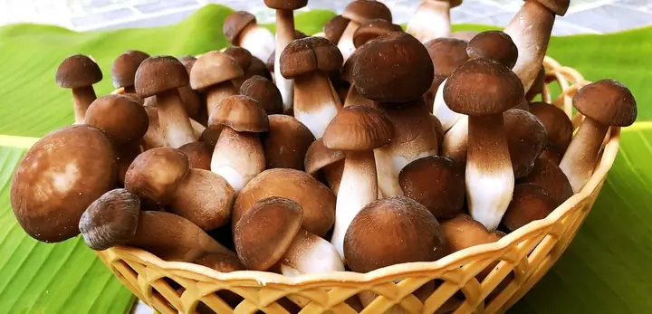 Bất Động Sản Phạm Văn Hai Tân Bình: Phân Tích Thị Trường Và Bí Quyết Mua Nhà