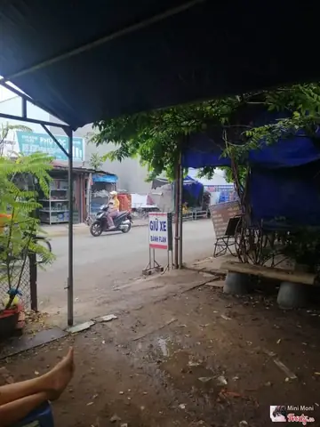 Bánh Flan Tây Ban Nha: Review Toàn Diện Về Món Tráng Miệng Đẳng Cấp Bánh Flan Tây Ban Nha: Review Toàn Diện Về Món Tráng Miệng Đẳng Cấp