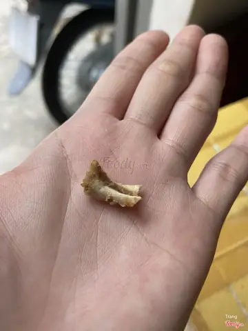 Review Tiệm Bánh Mì Những Chàng Trai: Trải Nghiệm Thực Tế Và Đánh Giá Khách Quan