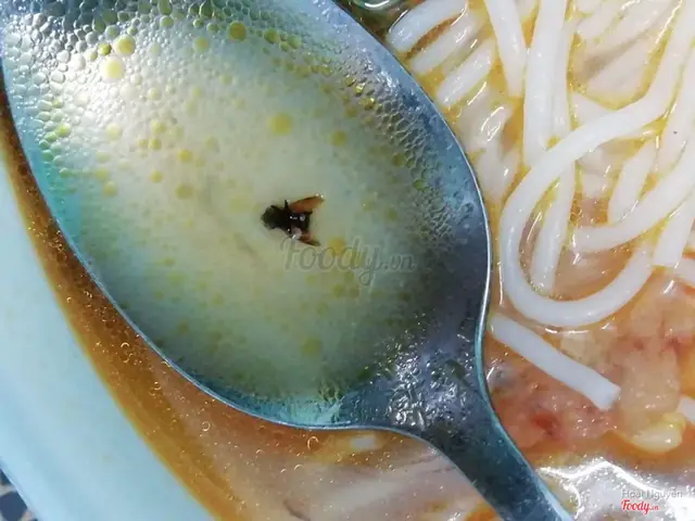 Bún Chả Cá Ông Tạ Đà Nẵng: Đánh Giá Chi Tiết Về Hương Vị, Giá Cả Và Trải Nghiệm Bún Chả Cá Ông Tạ Đà Nẵng: Đánh Giá Chi Tiết Về Hương Vị, Giá Cả Và Trải Nghiệm