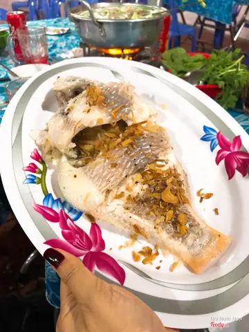 Cháo Cá Miền Tây: Nguồn Gốc, Cách Làm Và Những Quán Nổi Tiếng Cháo Cá Miền Tây: Nguồn Gốc, Cách Làm Và Những Quán Nổi Tiếng