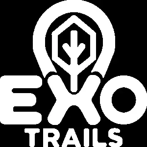 Gỏi Cá Mai Nha Trang: Đặc Sản Hấp Dẫn Từ Quán Cô Hằng