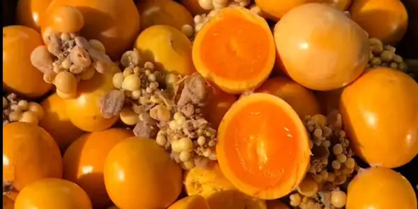 Top 5 Quán Ăn Ngon Trong Hẻm 51 Đường 3/2