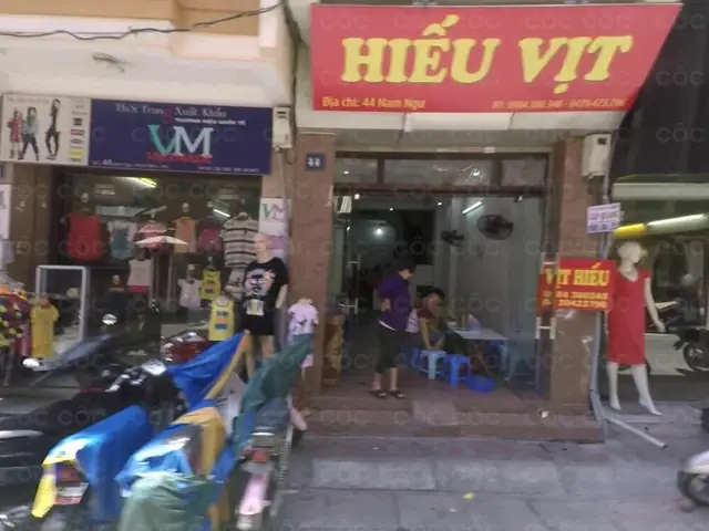 Hiếu Vịt 44 Nam Ngư: Thành Phần, Công Dụng Và Cách Sử Dụng Tối Ưu