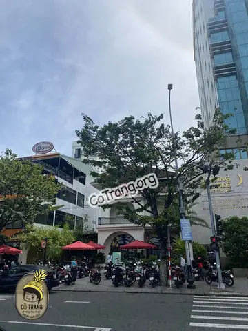 Review Highland Coffee 517 Trần Hưng Đạo: Quán Cà Phê View Cá Chép Hoá Rồng Đỉnh Cao Đón Đón Lượng Khách Khủng Review Highland Coffee 517 Trần Hưng Đạo: Quán Cà Phê View Cá Chép Hoá Rồng Đỉnh Cao Đón Đón Lượng Khách Khủng